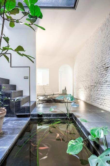 Exclusivo Apartamento De Diseno Centro Sevilla Matahacas Bajo Extérieur photo