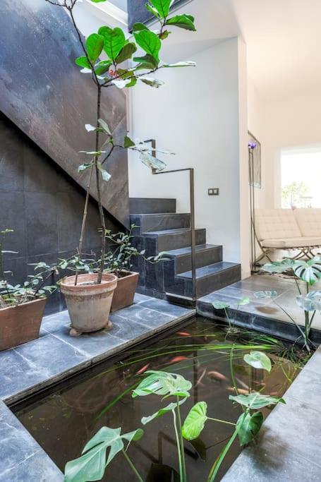 Exclusivo Apartamento De Diseno Centro Sevilla Matahacas Bajo Extérieur photo